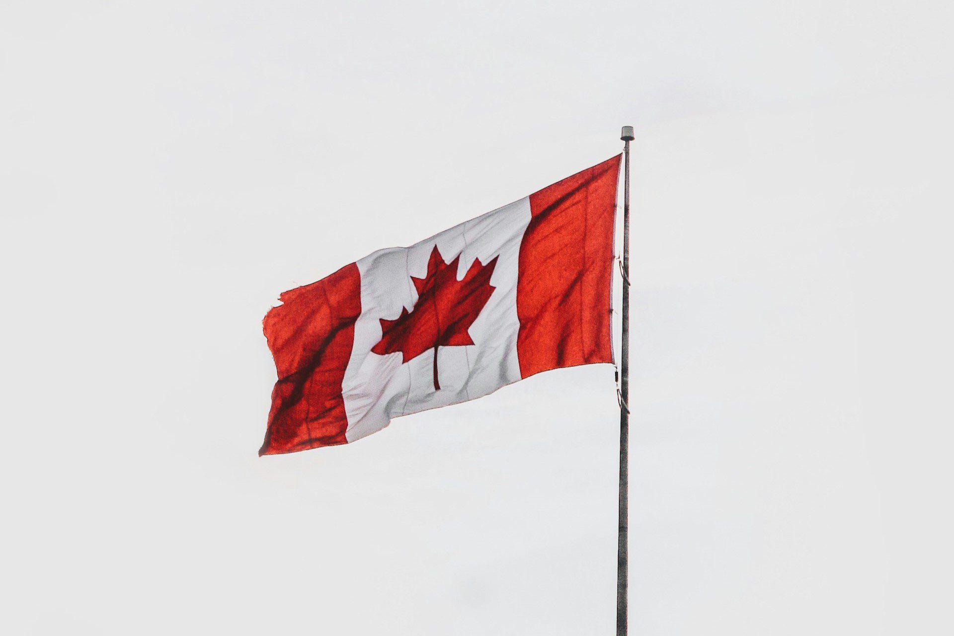 Read more about the article Disabled Canadian urges MSPs not to legalise ‘assisted dying’